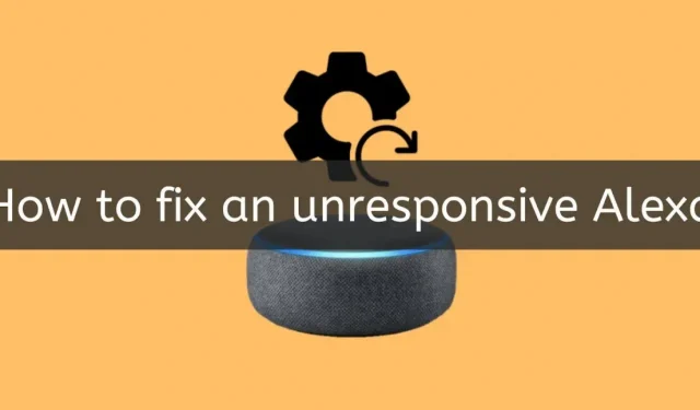 El dispositivo Alexa no responde: 7 correcciones