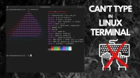 11 の修正: Linux のターミナルにテキストを入力できない