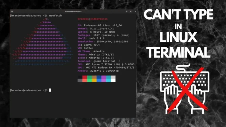 11 Fixes: Can’t Enter Text in Terminal on Linux