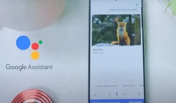 Scopri come disattivare l’assistente vocale su Android