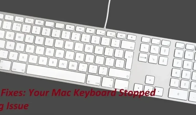 15 nejlepších oprav, pokud vaše klávesnice Mac přestala fungovat