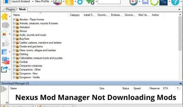 10 labojumi: Nexus Mod Manager netiks ielādēts