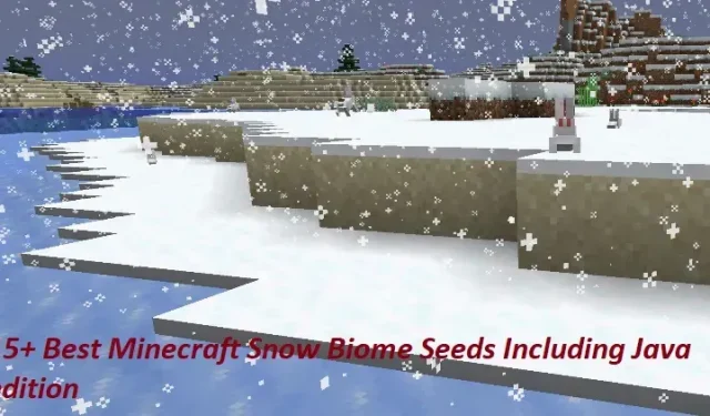 15+ meilleures graines de Minecraft Snow Biome, y compris l’édition Java