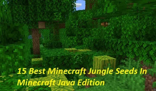 Die 15 besten Minecraft-Dschungelsamen in der Minecraft Java Edition