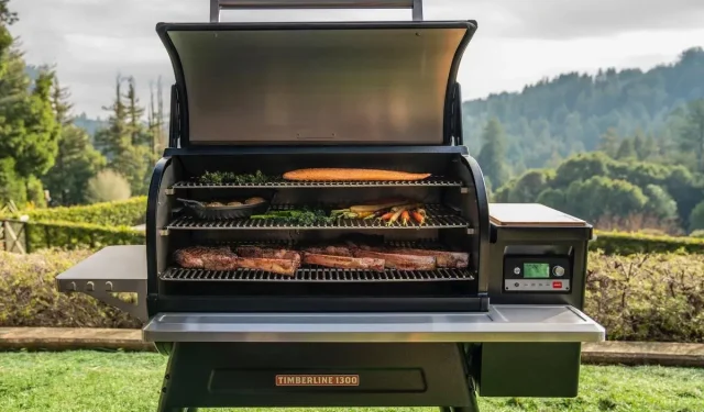 3 Beste oplossing voor Ler-code op Traeger-grills