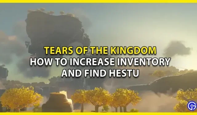 How to Raise Tears of the Kingdom Inventory Size