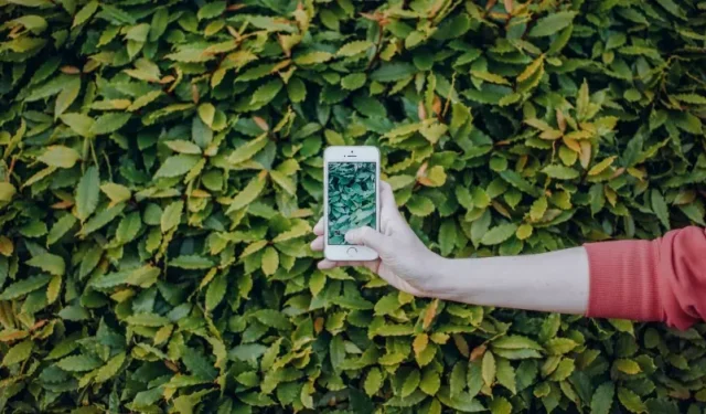 32 ideas de historias de Instagram para obtener más vistas y participación