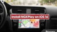 How to download and install NGXPlay on iOS 16