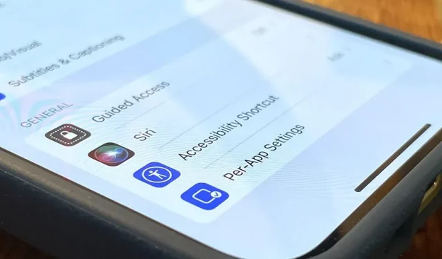 iOS 15 vous donne plus de raisons d’utiliser le raccourci d’accessibilité de votre iPhone