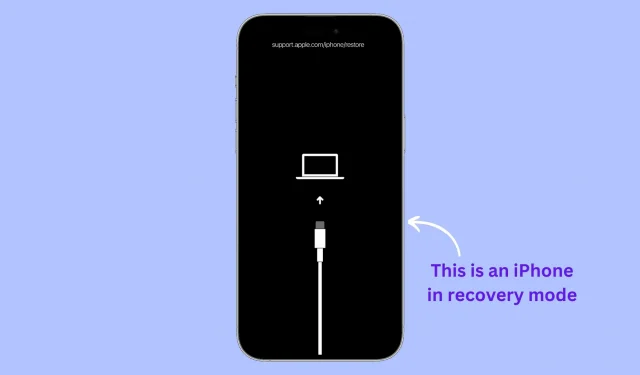 Why and How to Put Your iPhone or iPad into Recovery Mode