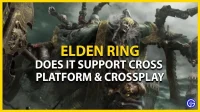 ¿Elden Ring es multiplataforma y juego cruzado? (PC, Xbox y PS)
