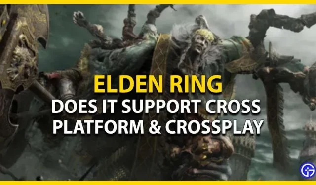 Is Elden Ring cross-platform en cross-play? (PC, Xbox en PS)