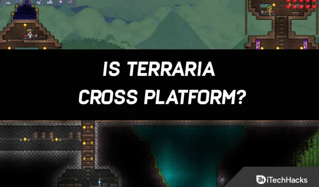 Est-ce que Terraria est multiplateforme ? Xbox, PS5, Nintendo Switch et PC