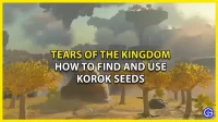 In Tears of the Kingdom, waar Korok-zaden te vinden zijn