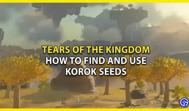 Knygoje karalystės ašaros, kur rasti Korok sėklų