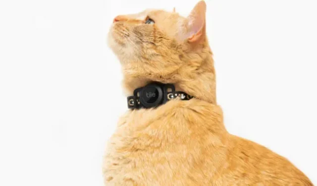 Bluetooth-трекер «Плитка для кошек» нуждается в обновлении