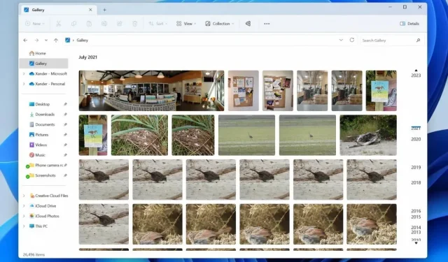 Windows 11은 사진 앱의 갤러리 보기를 파일 탐색기에 통합합니다.