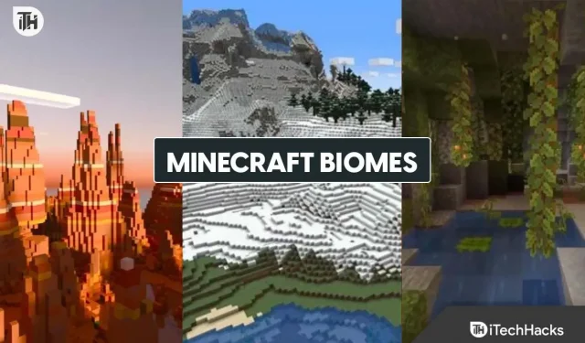 Différents biomes Minecraft: liste de tous les biomes 2023