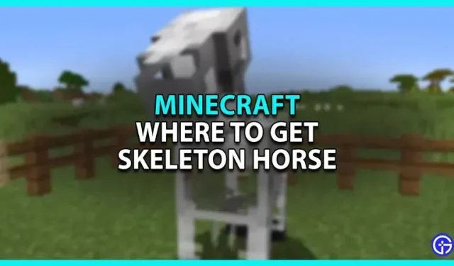 Wo man in Minecraft ein Skelettpferd bekommt