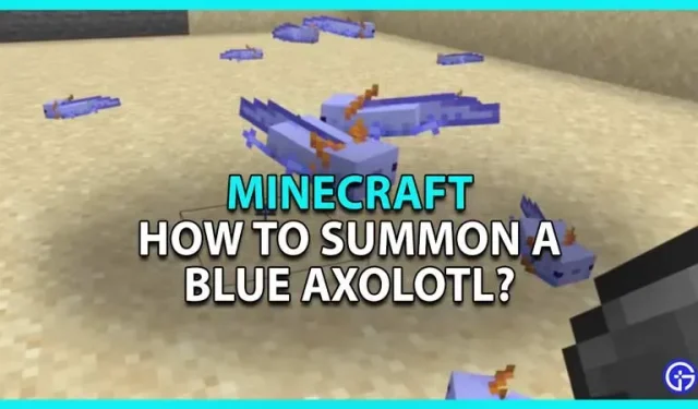 Minecraft: Sådan kalder du en blå axolotl