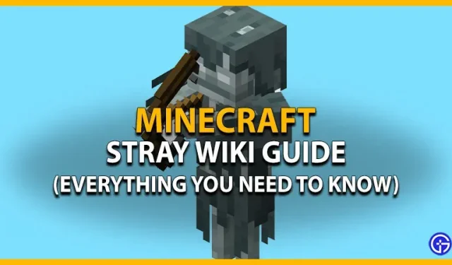 Minecraft Stray Wiki: Kaikki mitä sinun tarvitsee tietää