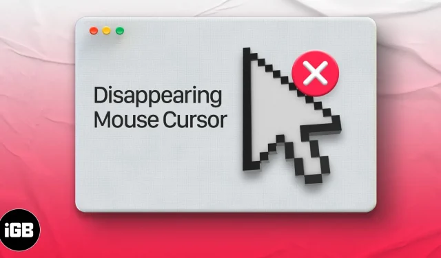 Mouse cursor disappears on Mac? Try These 14 Fixes