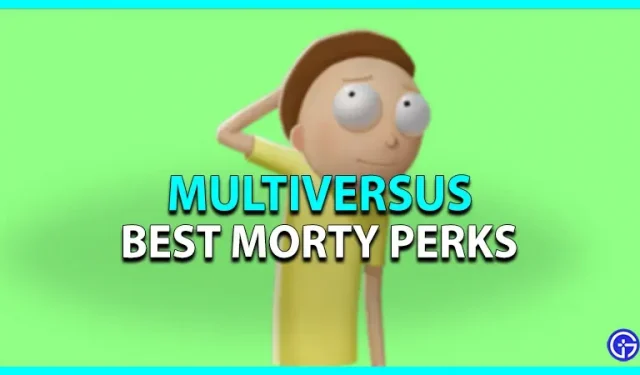Bonus MultiVersus Best Morty