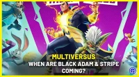 MultiVersus: hvornår dukker Black Adam og Stripe op?