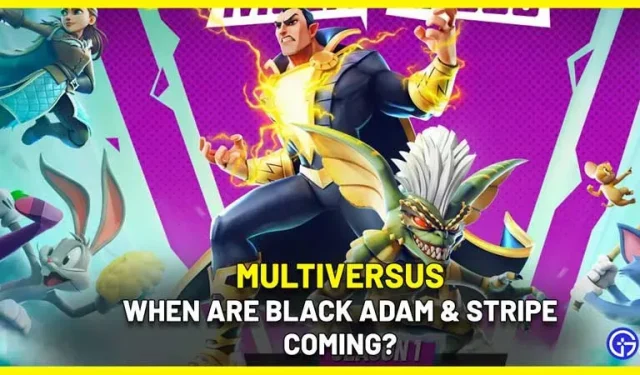 MultiVersus: ¿cuándo aparecerán Black Adam y Stripe?