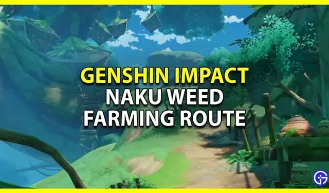 Genshin Impact: Naku Weed Growing Route (alla platser)