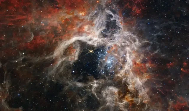 Le télescope James Webb a capturé une belle image de la nébuleuse de la tarentule.