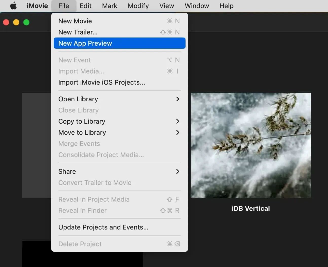 Предварительный просмотр нового приложения в iMovie на Mac