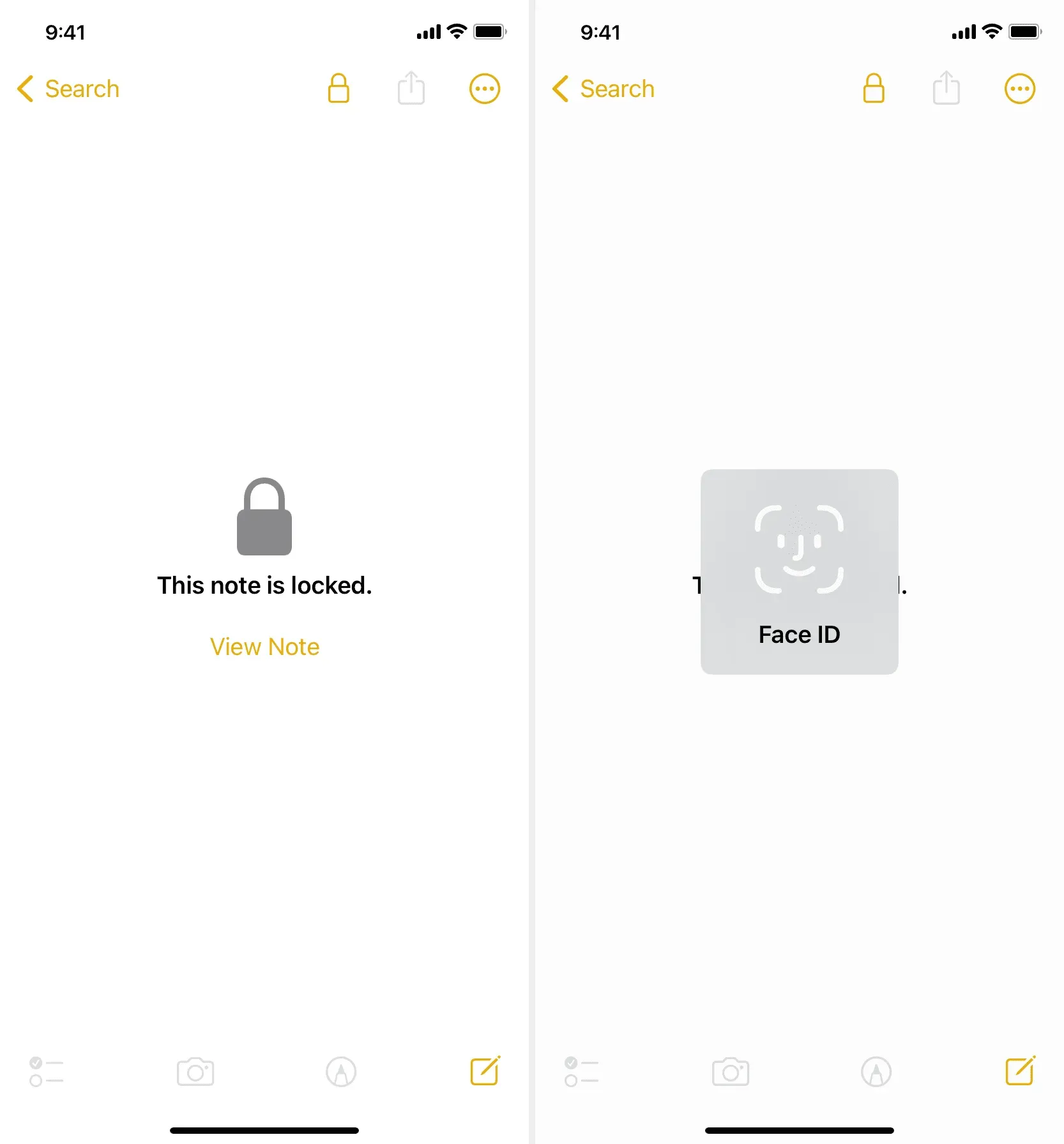 Заметки, защищенные паролем, в приложении iPhone Notes