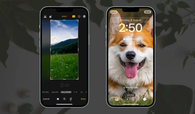 How to crop the perfect wallpaper for your iPhone in iOS 16