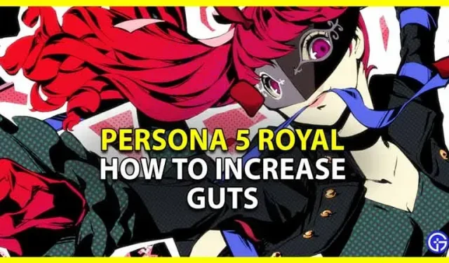 Persona 5 Royal Guts: kuidas seda sotsiaalset omadust suurendada