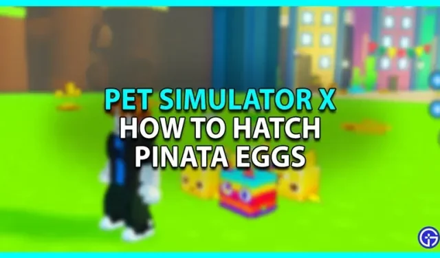 Pet Simulator X의 피냐타 알: 알 부화 방법