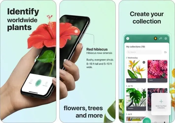 picturethis - plant identifier iphone and ipad ai app screenshot