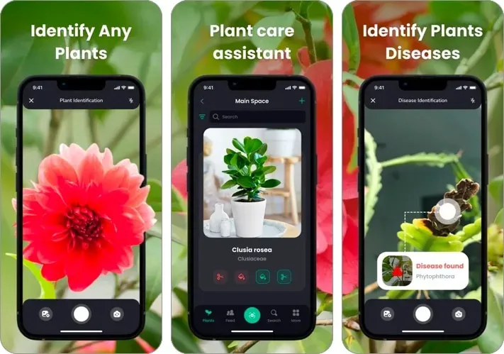 PlantIn: 식물 식별자