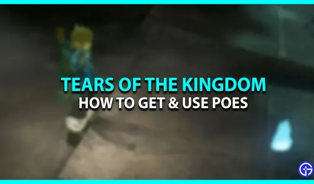 Poe’s In Tears of the Kingdom verkrijgen en gebruiken