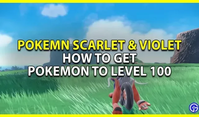Pokemon Scarlet & Violet: Cómo subir de nivel hasta 100 (Guía de Experience Farm)