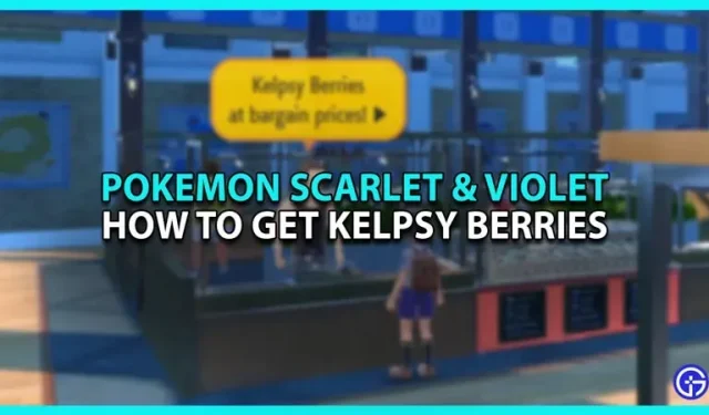 Pokémon Scarlet y Violet: cómo conseguir Kelpsy Berry