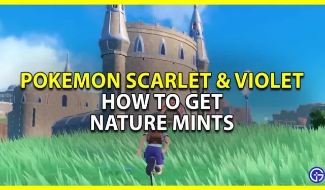 Pokemon Scarlet and Violet Mints: how to get and use them