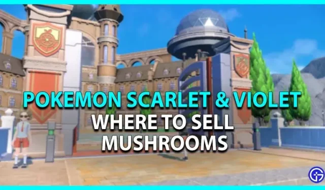 Pokemon Scarlet & Violet: where to sell mushrooms