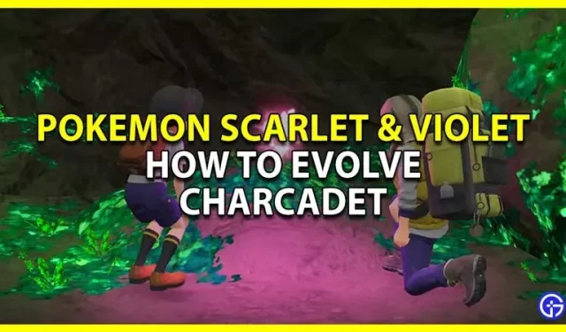 Pokemon Scarlet Violet: faire évoluer Charcadet en Armarouge ou Ceruledge