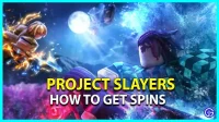 Project Slayers: how to get spins