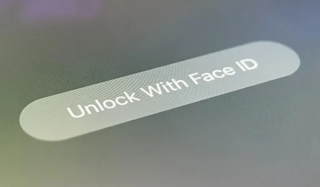 Face ID または Touch ID を使用してプライベート タブを保護し、他の人が閲覧の秘密を追跡できないようにする方法