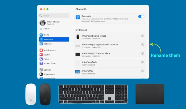 How to rename your Magic Mouse, Keyboard, or Trackpad on Mac (and what to do if it doesn’t work)