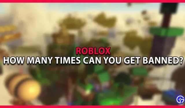 Hoe vaak kun je verbannen worden van Roblox?