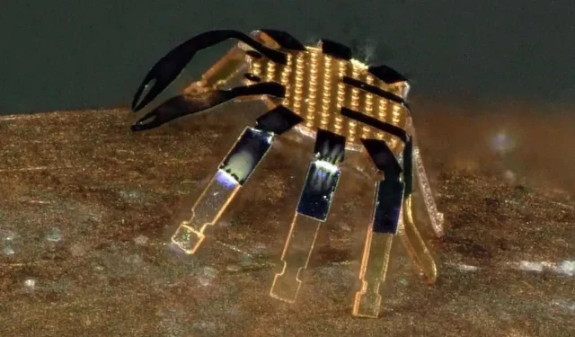 Ce robot crabe est plus petit qu’une puce