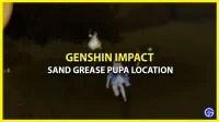 Where to find the location of the Sand Grease Chrysalis in Genshin Impact